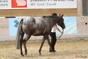 24-ApHC HIH_033